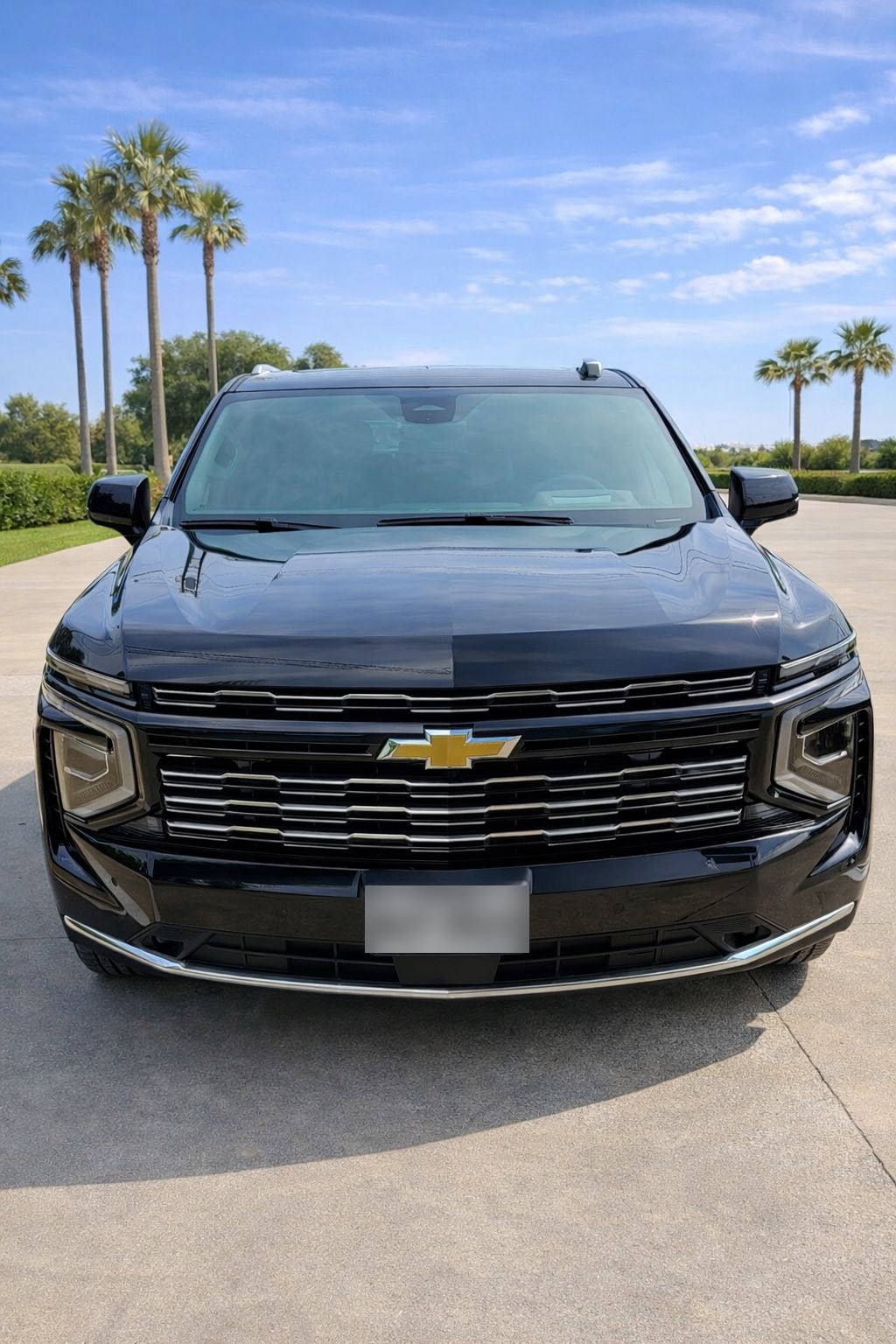 Barroso Limo fleet photo 4